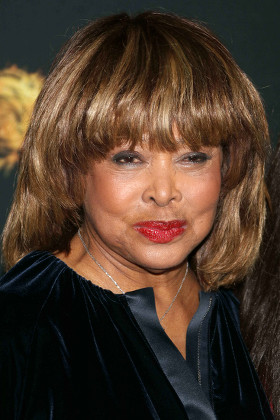 Tina Turner Editorial Stock Photo - Stock Image | Shutterstock