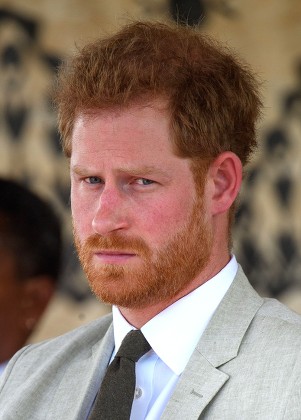 prince harry portraits Stock Photos (Exclusive) | Shutterstock