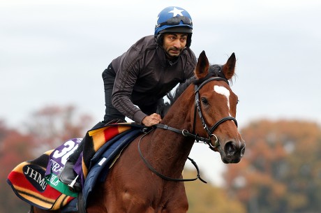 Enable Exercising Ahead Breeders Cup Turf Editorial Stock Photo - Stock ...