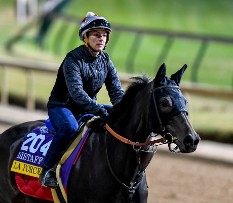 Horse Racing Breeders Cup Preparations, Louisville, USA - 29 Oct 2018