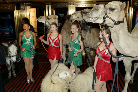His Eminence Timothy Cardinal Dolan & The Radio City Rockettes Blesses the Animals from the Christmas Spectacular's 'Living Nativity' Scene, New York, USA - 05 Nov 2018