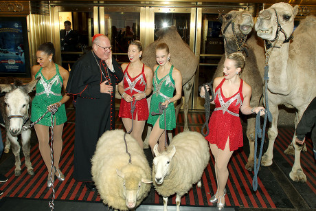 His Eminence Timothy Cardinal Dolan & The Radio City Rockettes Blesses the Animals from the Christmas Spectacular's 'Living Nativity' Scene, New York, USA - 05 Nov 2018