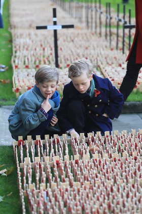 Field Remembrance Westminster Abbey London Editorial Stock Photo ...