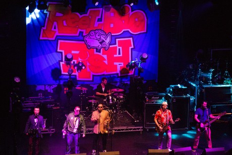Reel Big Fish in concert at the 02 Academy, Newcastle, UK - 06 Nov 2018