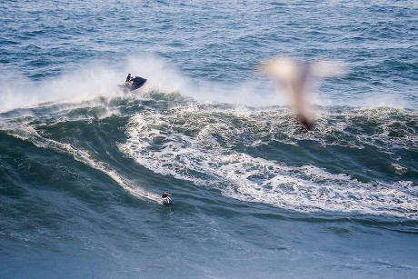 Big wave surfer Sebastian Steudtner from Germany rides a wave