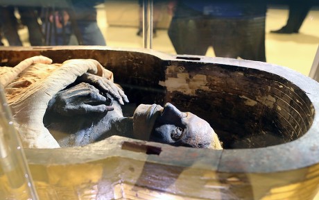 View Mummy Thuya On Display Egyptian Editorial Stock Photo - Stock ...