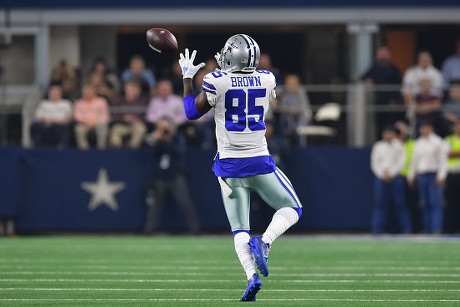 Dallas Cowboys Wide Receiver Noah Brown Editorial Stock Photo - Stock Image