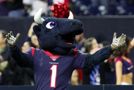 Toro Houston Texans Mascot Entertains Fans Editorial Stock Photo ...