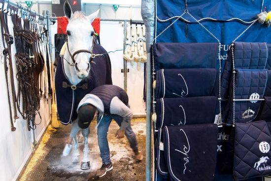 Stableman Takes Care Clooney Horse Switzerlands Editorial Stock Photo ...