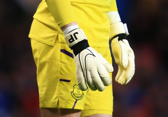 everton goalie gloves