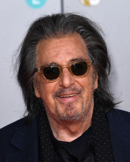 al pacino moscot