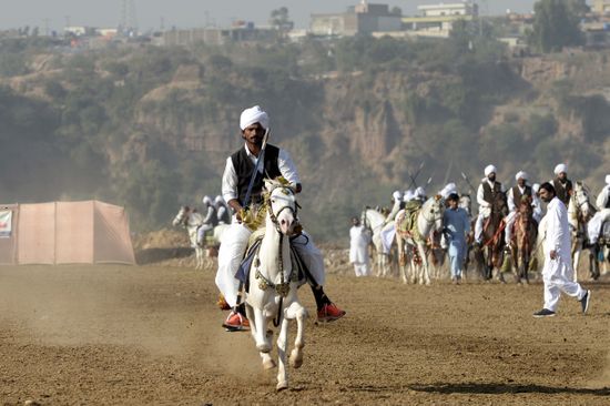 Pakistani Horse Rider Competes During Tent Editorial Stock Photo ...