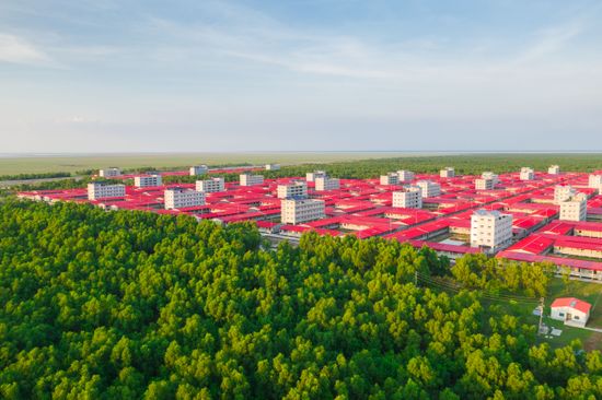 Brightly Coloured Red Rooftops Look Like Editorial Stock Photo - Stock ...