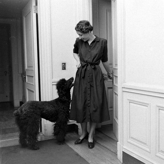 Helle Zervoudaki Wife Henri Bonnet Standing Editorial Stock Photo ...