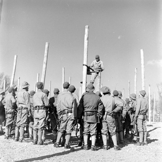 Signal Corps Soldiers Installing Wires During Editorial Stock Photo
