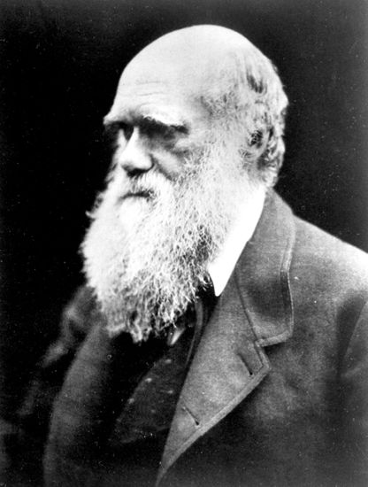 Portrait Charles Darwin Beard Editorial Stock Photo - Stock Image ...