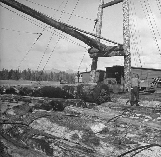 Man Constructing Davis Raft Alaska United Editorial Stock Photo - Stock ...