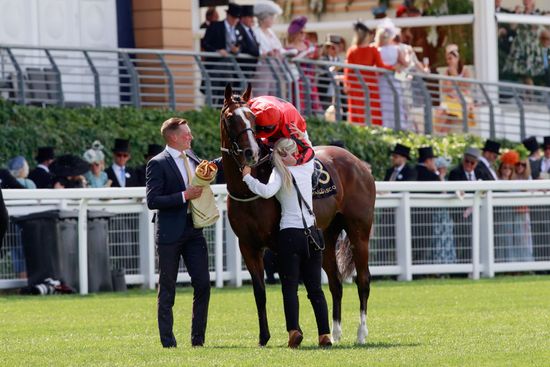 Ridler P Hannagan Wins Thenorfolk Stakes Editorial Stock Photo - Stock ...
