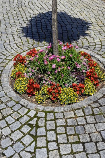 Stone Paving Flower Rondel Nesselwang Allgaeu Editorial Stock Photo ...
