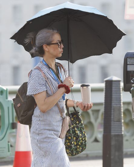 The Commuter Umbrella