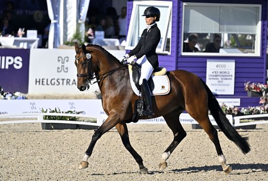George Bel Riding Best 8 During Editorial Stock Photo - Stock Image ...