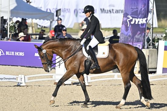 George Bel Riding Best 8 During Editorial Stock Photo - Stock Image ...