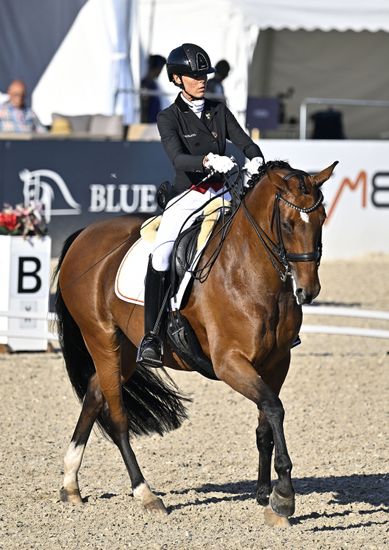 George Bel Riding Best 8 During Editorial Stock Photo - Stock Image ...