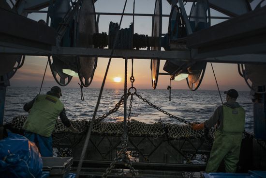 Despite Conflict Between British French Fishermen Editorial Stock Photo ...