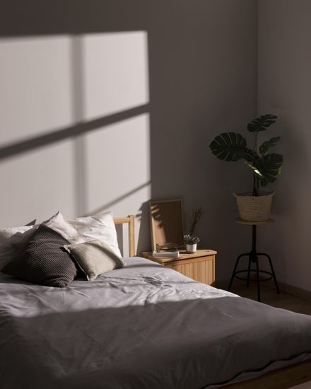 Minimalistic Bed Interior Plant Resolution High Editorial Stock Photo