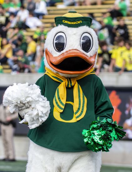 Berkeley Ca Usa Oregon Duck Mascot Editorial Stock Photo - Stock Image ...