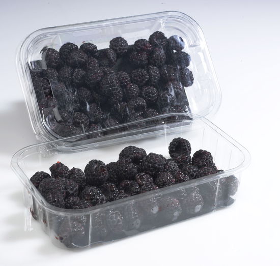 Mac Black Black Raspberries Editorial Stock Photo - Stock Image ...