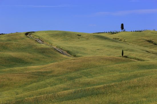 Undulating Hilly Landscape Tuscany Crete Senesi Editorial Stock Photo
