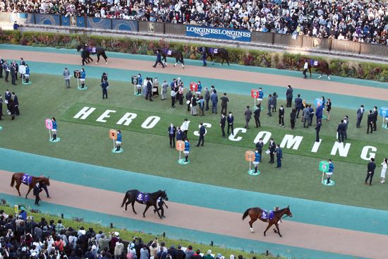 tokyo-horses-inside-parade-ring-fuchu-editorial-stock-photo-stock