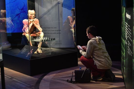 Plastinated Human Bodies On Display Preview Editorial Stock Photo ...