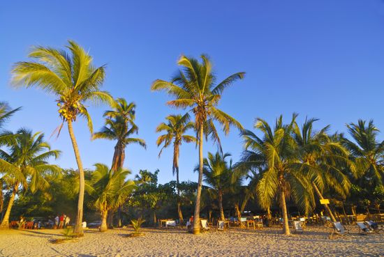 Beach Madirokely Sunset Island Nosy Be Editorial Stock Photo - Stock ...