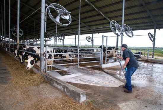 Farmer Sutton Rucks Opens Drain One Editorial Stock Photo - Stock Image ...
