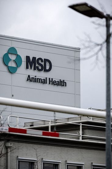 Boxmeer Exterior New Msd Animal Health Editorial Stock Photo - Stock ...