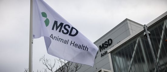 Boxmeer Logo Msd Animal Health De Editorial Stock Photo - Stock Image ...