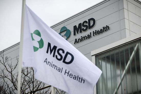 Boxmeer Logo Msd Animal Health De Editorial Stock Photo - Stock Image ...