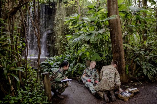 Island Rainforest - Navy main image 1