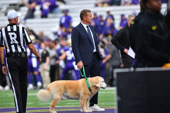 Espns Kirk Herbstreit His Dog On Editorial Stock Photo - Stock Image ...