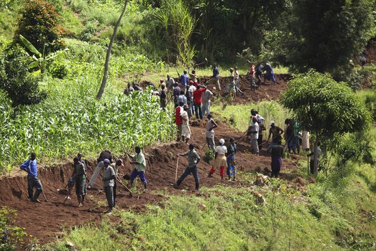 Rwandese People Participate National Cleanup Day Editorial Stock Photo ...