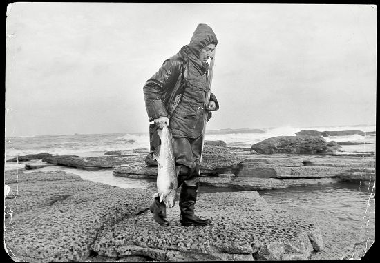 Prize Winning Cod Caught Seemingly Barren Editorial Stock Photo - Stock ...