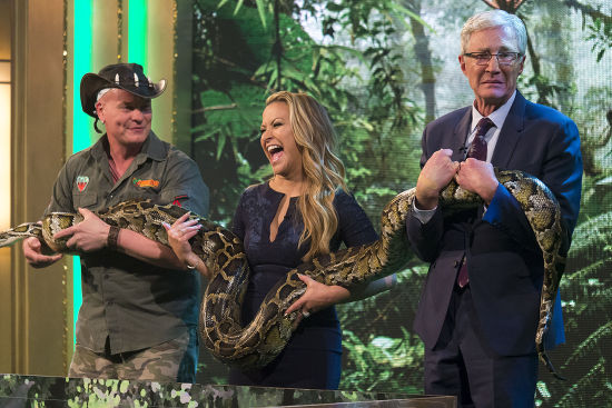 Anastacia Paul Ogrady 30 Foot Python Editorial Stock Photo - Stock ...