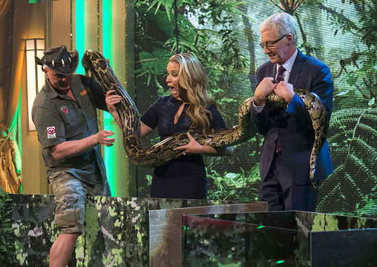 Anastacia Paul Ogrady 30 Foot Python Editorial Stock Photo - Stock ...