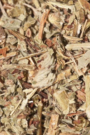 Agrimony Tea Organic Tea Editorial Stock Photo - Stock Image | Shutterstock