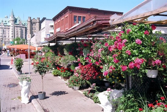 Flower Market Ottawa Editorial Stock Photo Stock Image Shutterstock   Shutterstock 413756j 