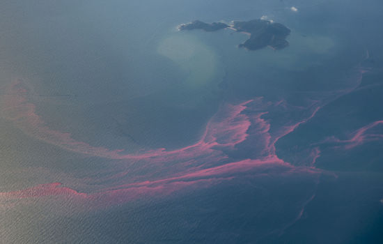 Aerial Photo Showing Red Tides Bloom Editorial Stock Photo - Stock ...