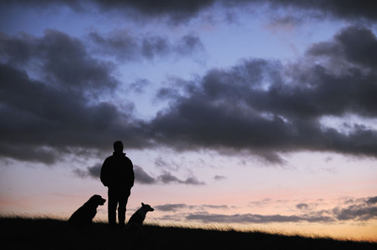 Man His Dogs On Hillside Silhouetted Editorial Stock Photo - Stock ...