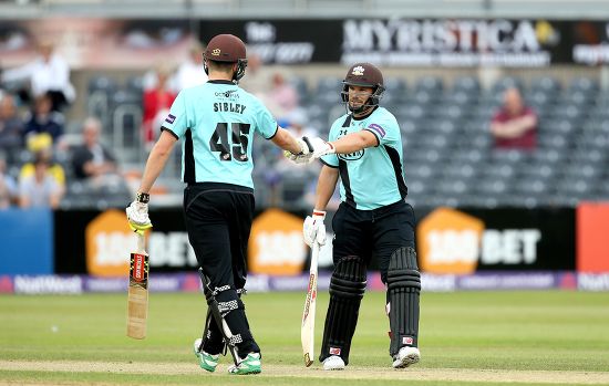 Aaron Finch Surrey Fist Bumps Dominic Editorial Stock Photo - Stock ...